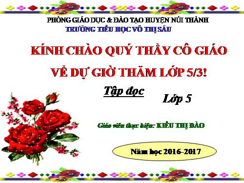 Tuần 31. Công việc đầu tiên
