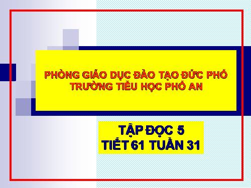 Tuần 31. Công việc đầu tiên