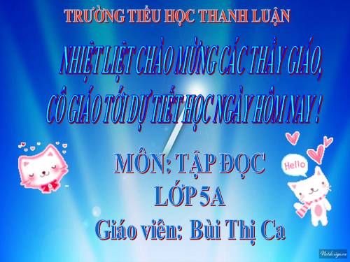 Tuần 31. Công việc đầu tiên