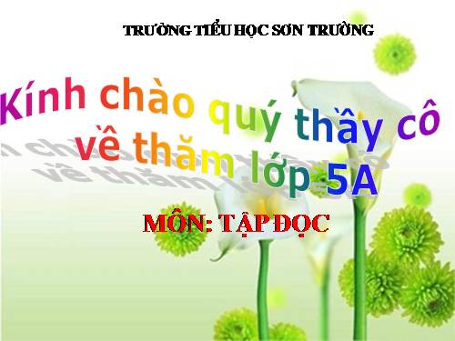 Tuần 30. Tà áo dài Việt Nam