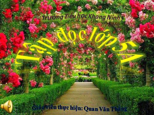 Tuần 30. Tà áo dài Việt Nam