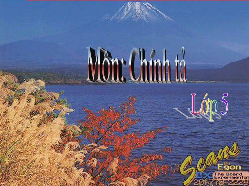 Tuần 12. Hành trình của bầy ong