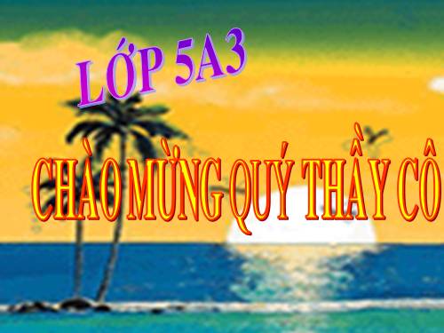 Tuần 12. Mùa thảo quả