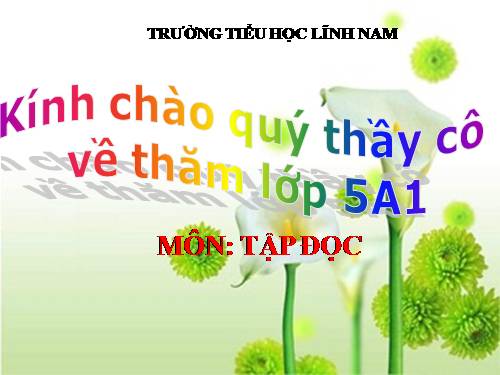 Tuần 30. Tà áo dài Việt Nam