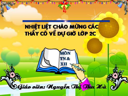 Tuần 35. Ôn tập Cuối Học kì II