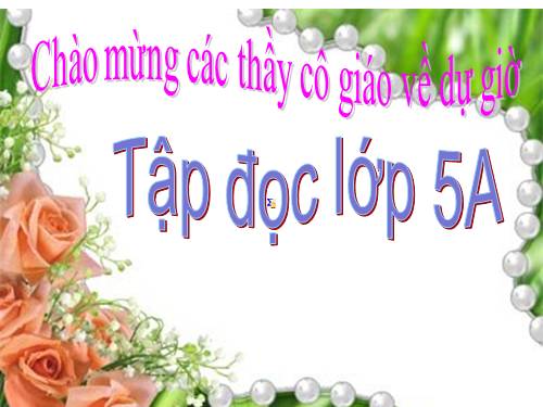 Tuần 30. Thuần phục sư tử