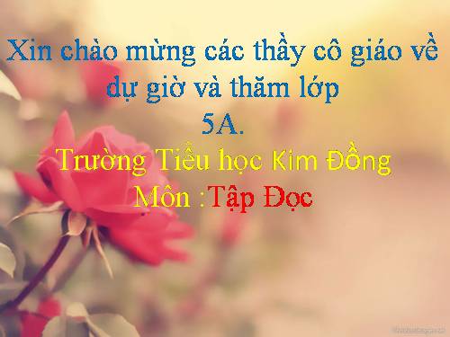 Tuần 25. Phong cảnh đền Hùng