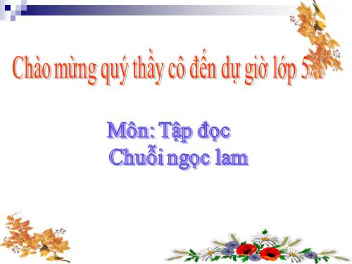 Tuần 14. Chuỗi ngọc lam