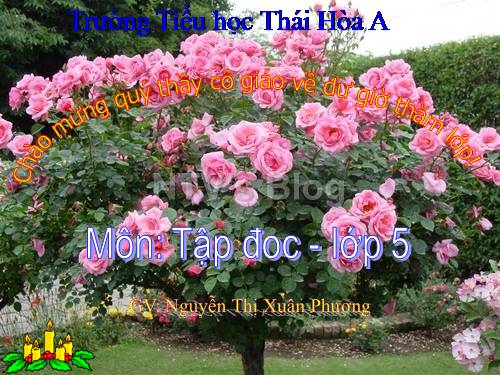 Tuần 20. Thái sư Trần Thủ Độ