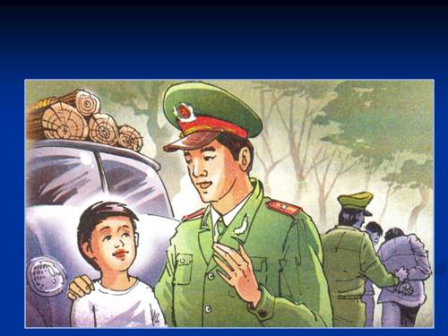 Tuần 13. Người gác rừng tí hon