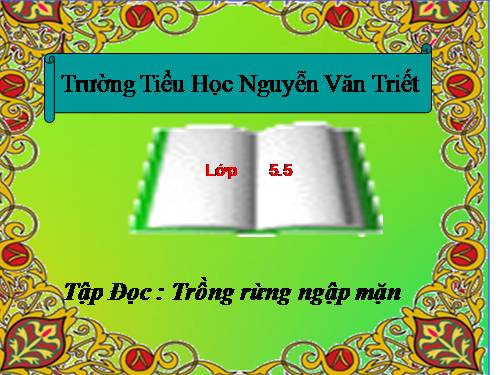 Tuần 13. Trồng rừng ngập mặn