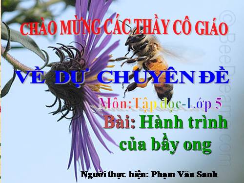 Tuần 12. Hành trình của bầy ong