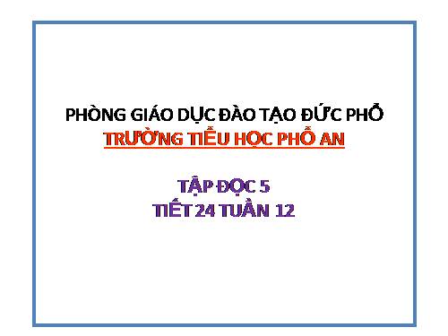 Tuần 12. Hành trình của bầy ong