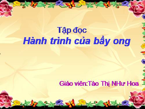 Tuần 12. Hành trình của bầy ong