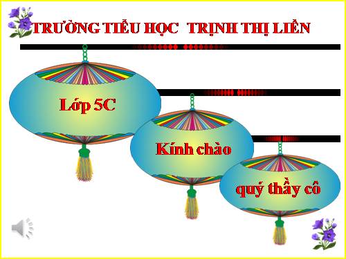 Tuần 12. Mùa thảo quả