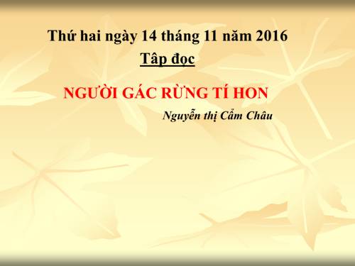 Tuần 13. Người gác rừng tí hon