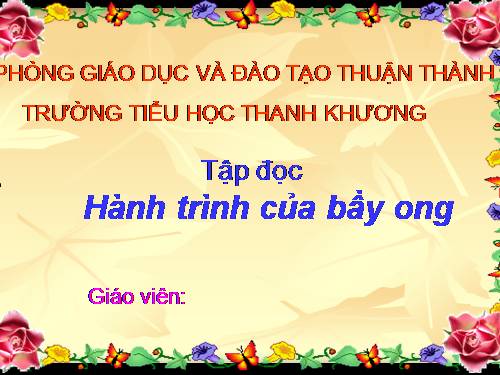 Tuần 12. Hành trình của bầy ong