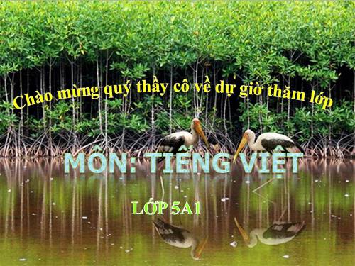 Tuần 9. Đất Cà Mau