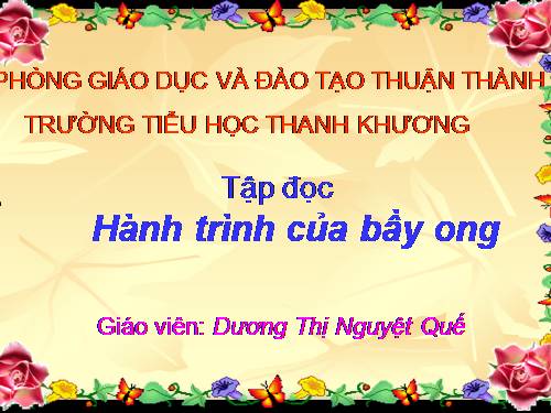 Tuần 12. Hành trình của bầy ong