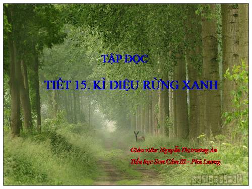 Tuần 8. Kì diệu rừng xanh