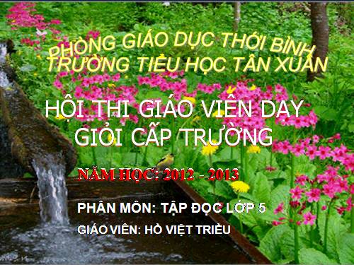 Tuần 12. Hành trình của bầy ong