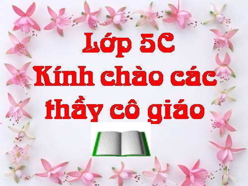 Tuần 8. Kì diệu rừng xanh