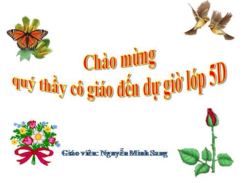 Tuần 5. Một chuyên gia máy xúc