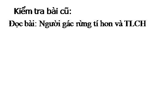 Tuần 13. Trồng rừng ngập mặn