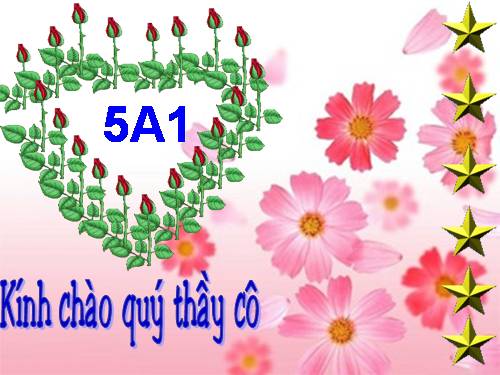 Tuần 4. Những con sếu bằng giấy