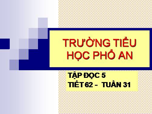 Tuần 31. Bầm ơi