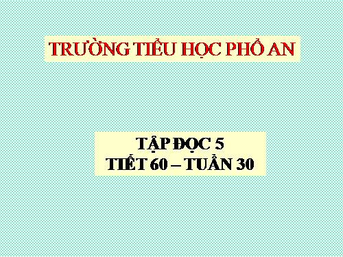 Tuần 30. Tà áo dài Việt Nam