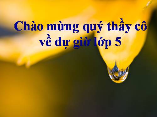 Tuần 30. Tà áo dài Việt Nam