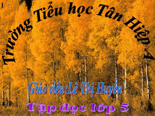 Tuần 8. Kì diệu rừng xanh