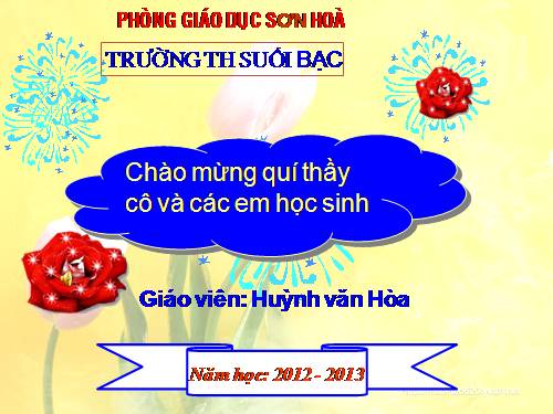 Tuần 12. Hành trình của bầy ong