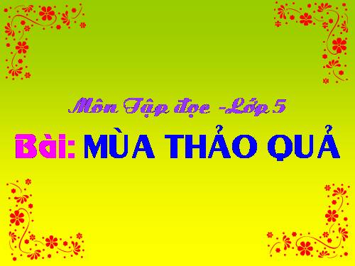 Tuần 12. Mùa thảo quả