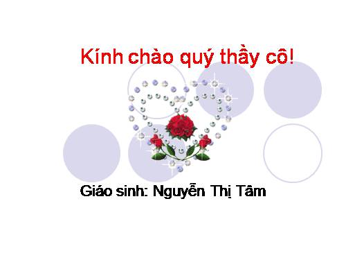 Tuần 12. Hành trình của bầy ong