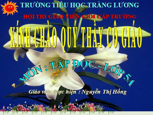 Tuần 13. Người gác rừng tí hon