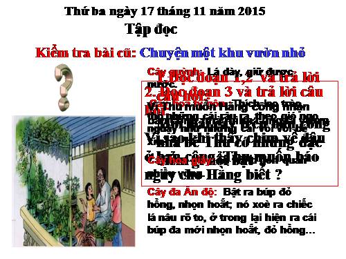 Tuần 12. Mùa thảo quả