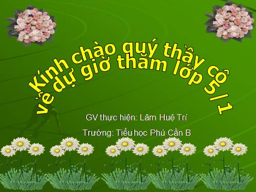 Tuần 12. Mùa thảo quả