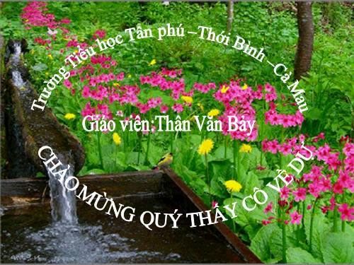 Tuần 12. Mùa thảo quả