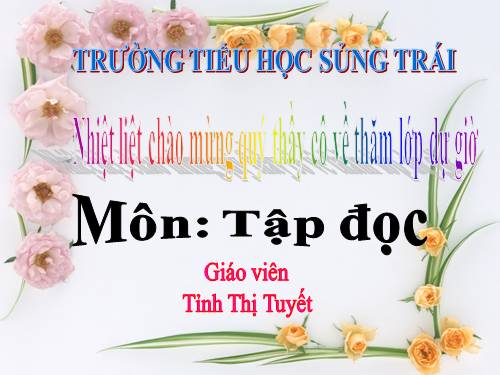 Tuần 13. Người gác rừng tí hon