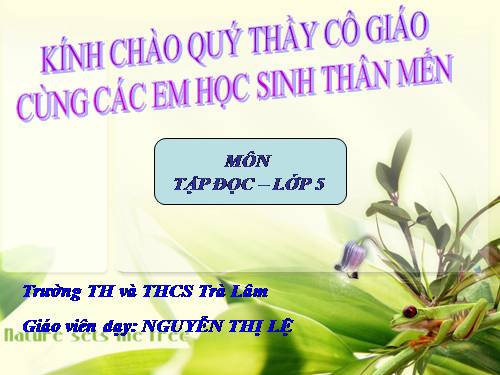 Tuần 30. Tà áo dài Việt Nam