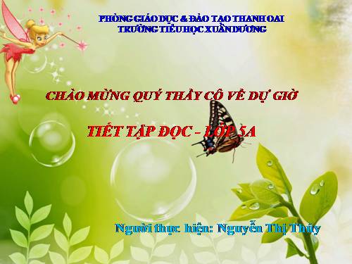 Tuần 9. Đất Cà Mau