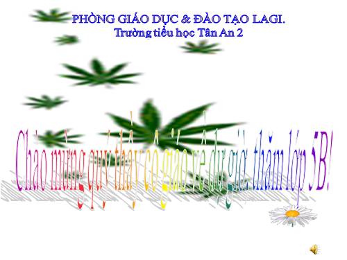 Tuần 13. Người gác rừng tí hon