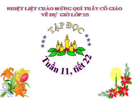 Tuần 11. Tiếng vọng