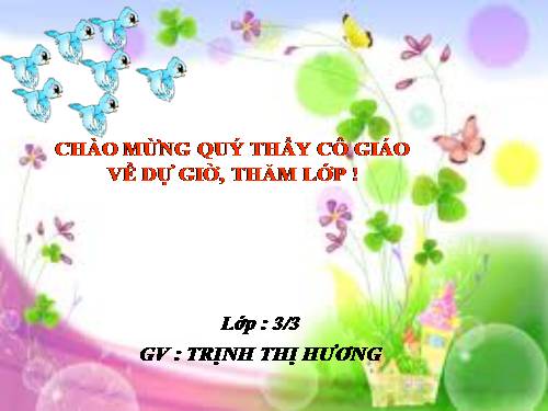 Tuần 11. Chuyện một khu vườn nhỏ
