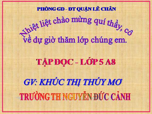 Tuần 13. Người gác rừng tí hon