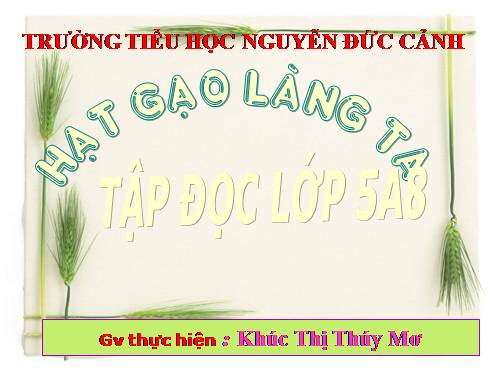 Tuần 14. Hạt gạo làng ta