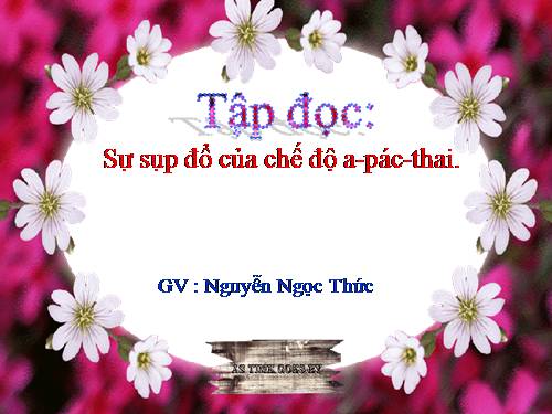 Tuần 6. Sự sụp đổ của chế độ A-pác-thai