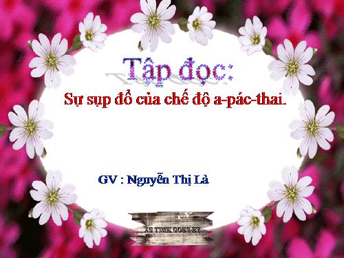 Tuần 6. Sự sụp đổ của chế độ A-pác-thai